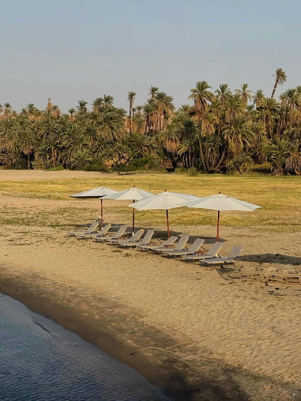 4 - Day Luxor to Aswan 5 - Star Nile Cruise | Private Egyptologist Guide - Navigate