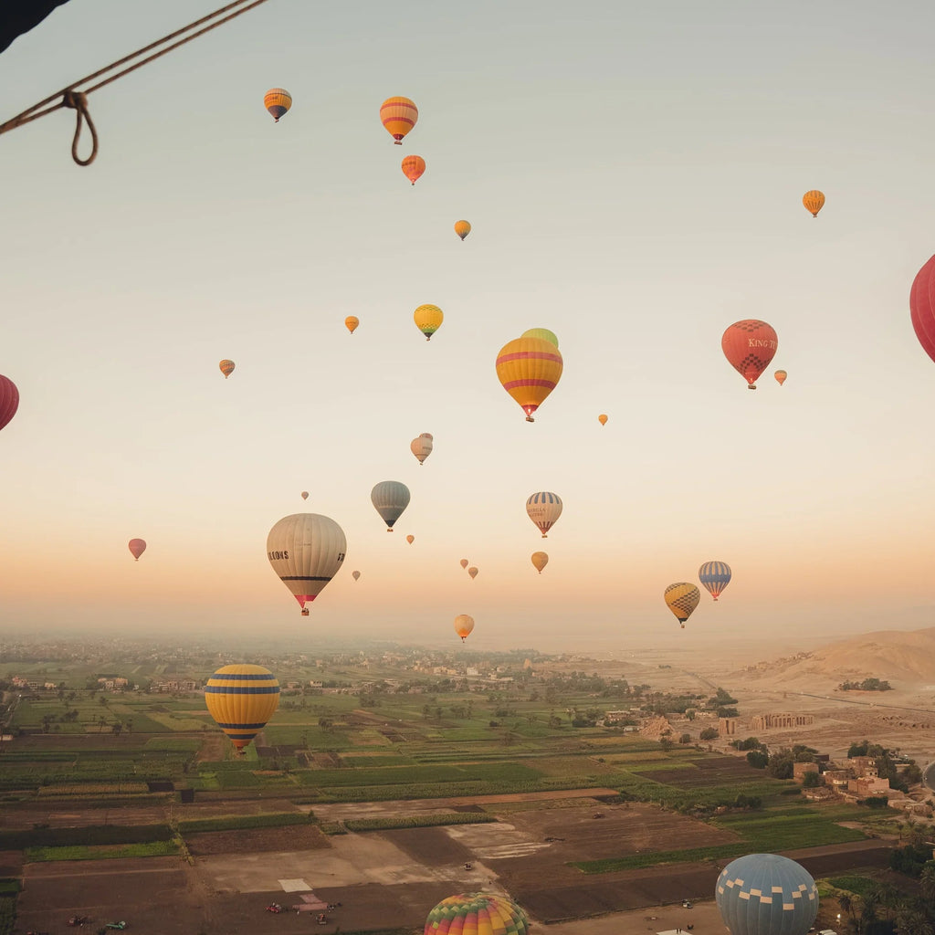 4 - Day Luxor to Aswan 5 - Star Nile Cruise | Private Egyptologist Guide - Navigate