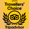 portal tripadvisor travellers choice 2025