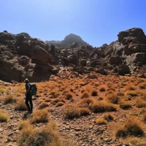 4-Day Sinai Adventure: Sharm El Sheikh, Mount Sinai & Dahab Explorer in Egypt