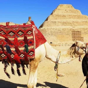 Egypt saqqara pyramid