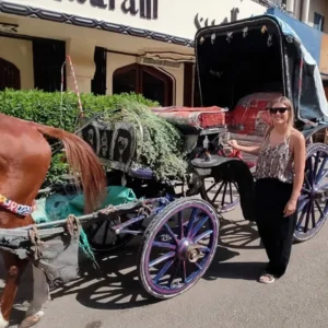 Travelers enjoy horse carriage