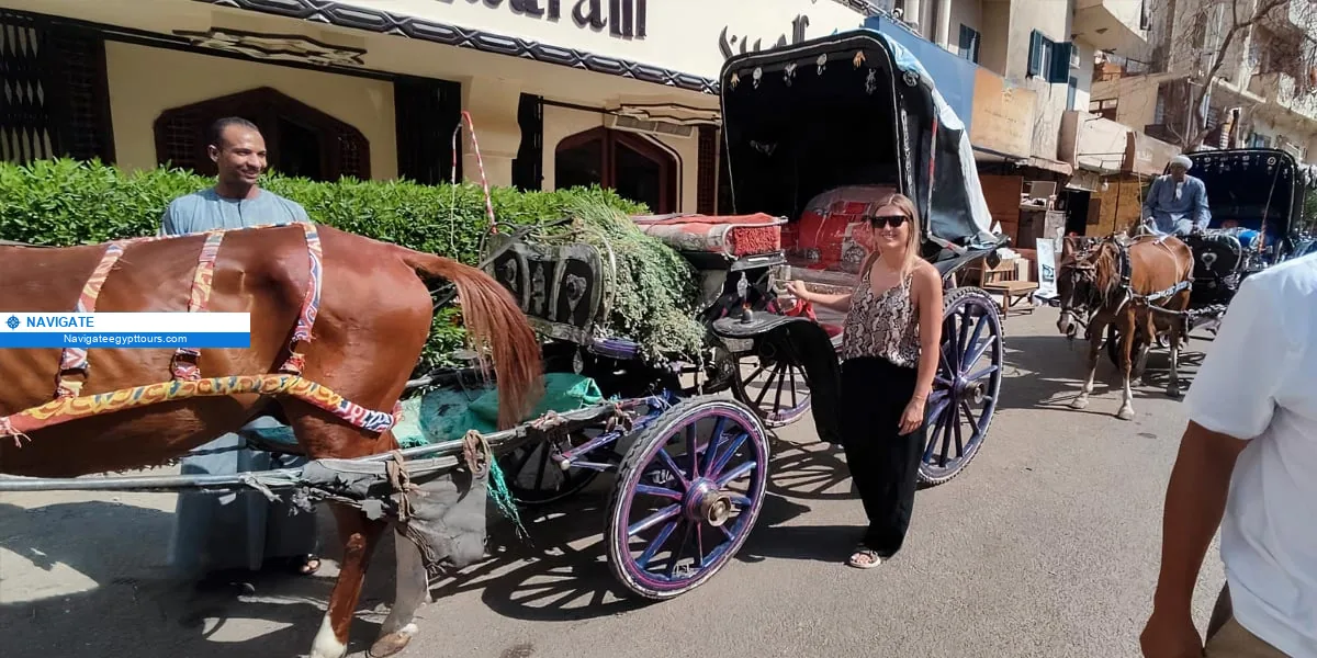 nav 1782c4e76772ef25 Travelers enjoy horse carriage