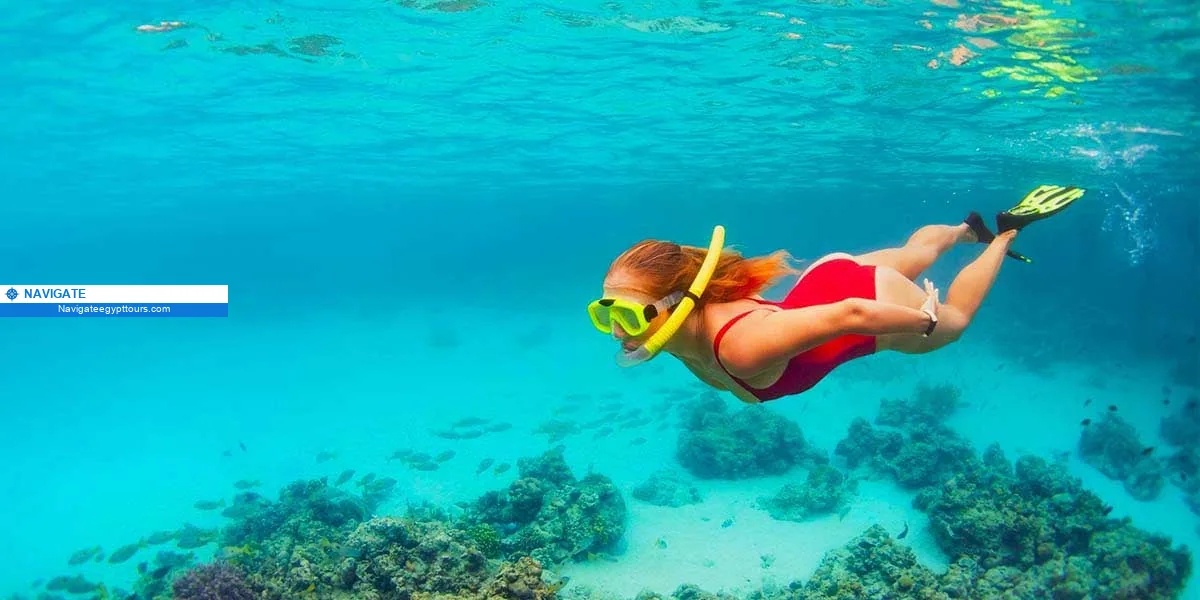 nav 25a84aec6fbd52c2 Snorkeling red sea