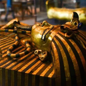 The egyptian museum in cairo