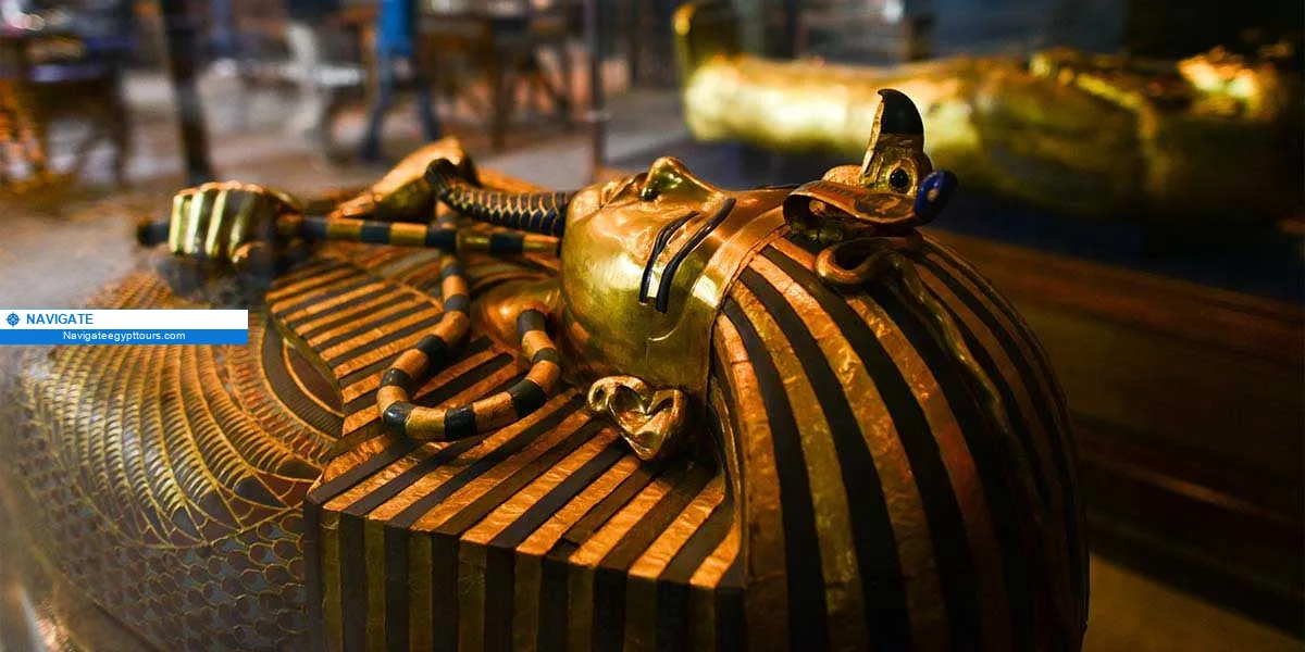 nav 49cba89352c68525 The egyptian museum in cairo