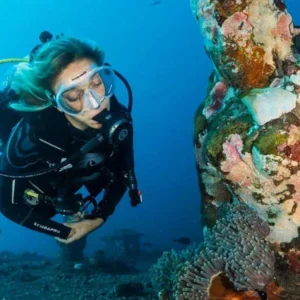 Scuba diving in the red sea