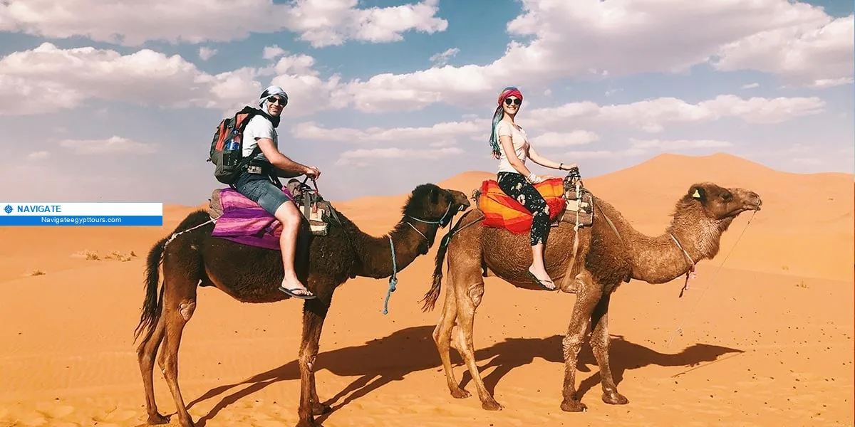 Egypt safari camel ride