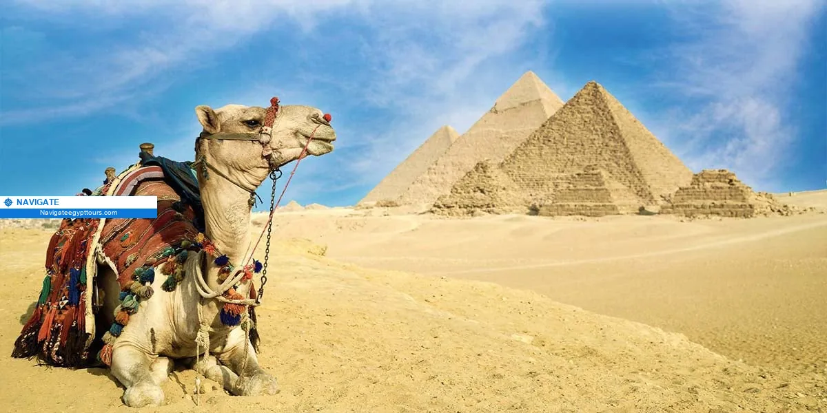 nav a92621b2244897cf Egyptian pyramids