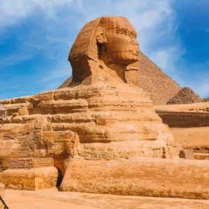 Egyptian sphinx