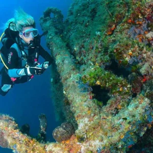 Egypt scuba diving trips