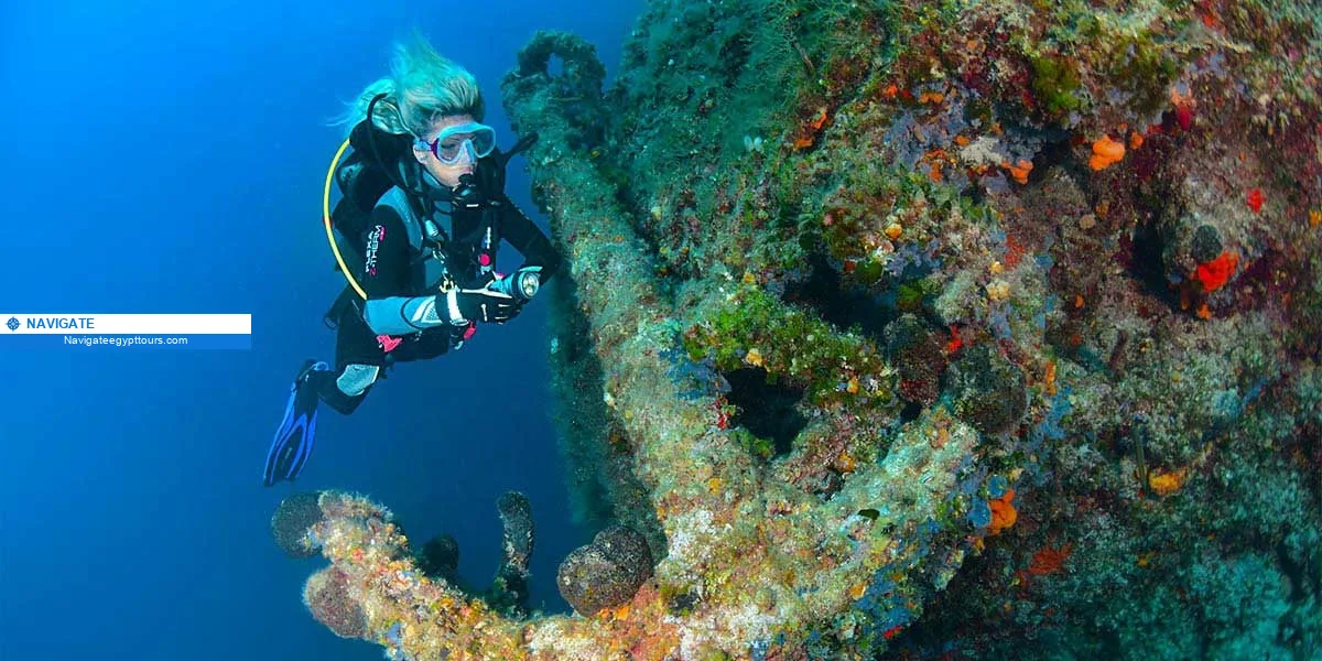 nav bf9895526ee23491 Egypt scuba diving trips