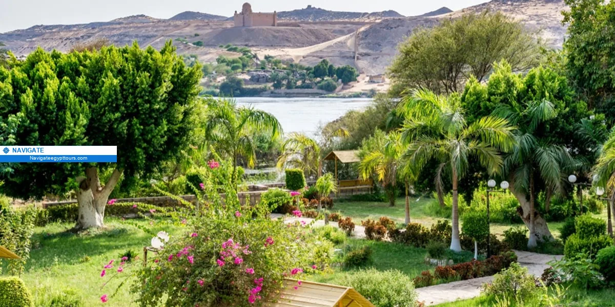 Aswan kitchener island