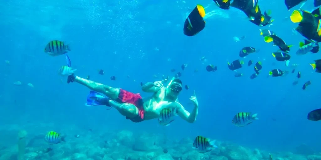Top 11 Things To Do in Makadi Bay - Makadi Bay top Activities Makadi bay excursion private snorkeling trip